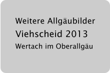 Weitere Allgubilder Viehscheid 2013 Wertach im Oberallgu